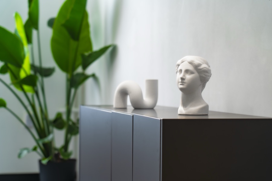 Skulpturen und Pflanze im MaklerBridge-Office